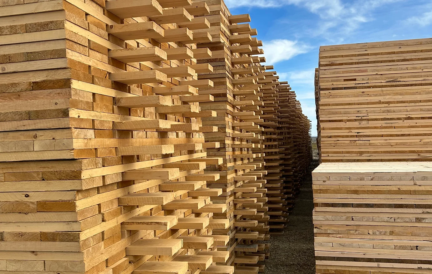 Rentals, Ironwood Matts in Grande Prairie